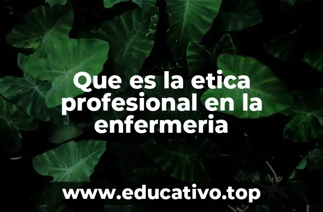 Que es la etica profesional en la enfermeria