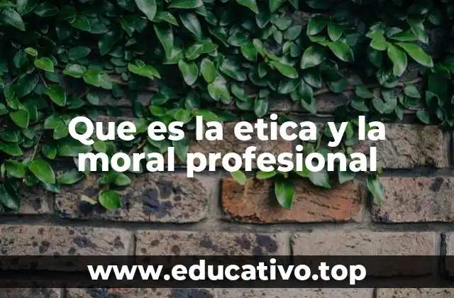 Que es la etica y la moral profesional