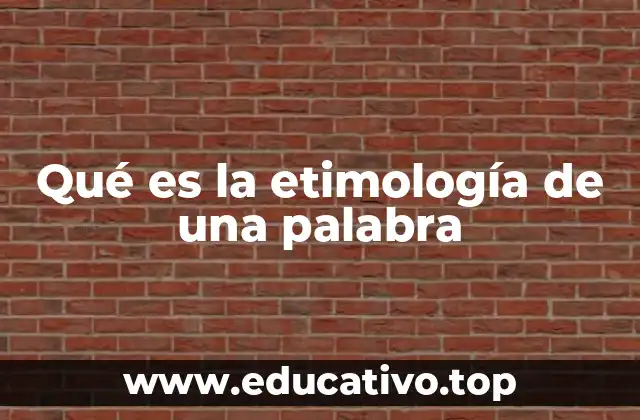 Qué es la etimología de una palabra