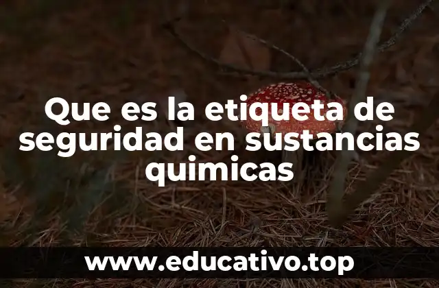 Que es la etiqueta de seguridad en sustancias quimicas
