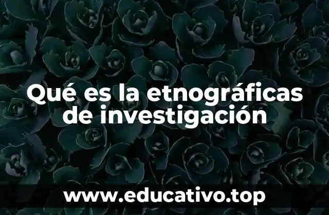 Qué es la etnográficas de investigación