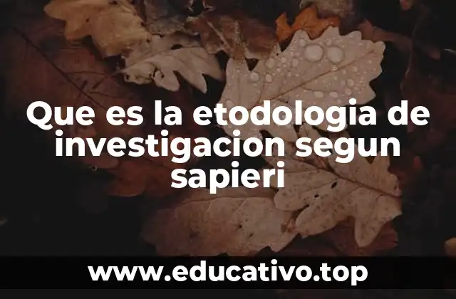 Que es la etodologia de investigacion segun sapieri