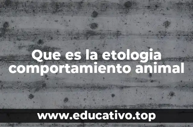 Que es la etologia comportamiento animal