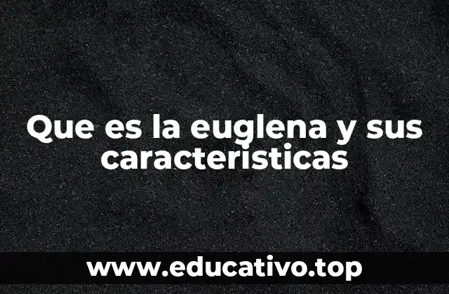 Que es la euglena y sus caracteristicas