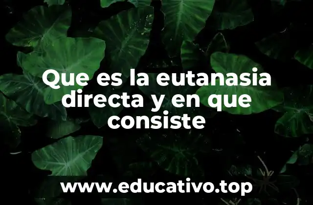 Que es la eutanasia directa y en que consiste