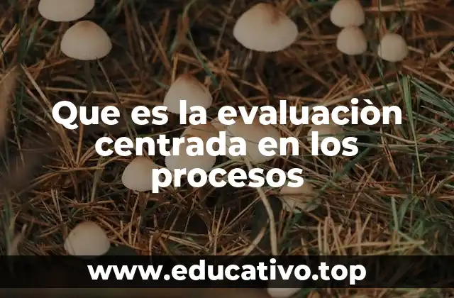 El enfoque evolutivo del aprendizaje y la mejora continua