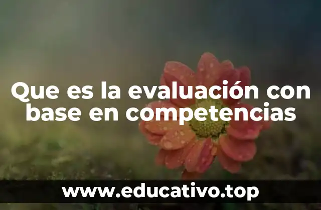 Que es la evaluación con base en competencias