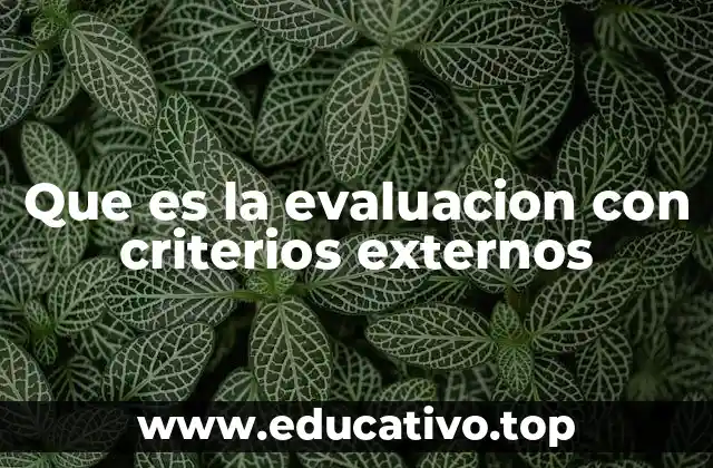 Que es la evaluacion con criterios externos