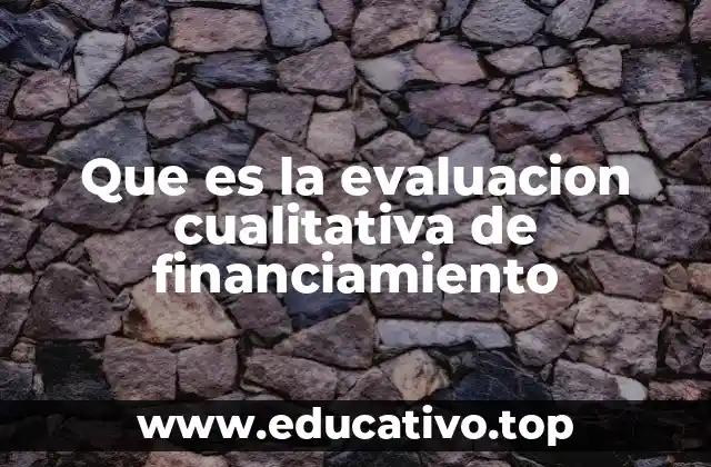 Que es la evaluacion cualitativa de financiamiento