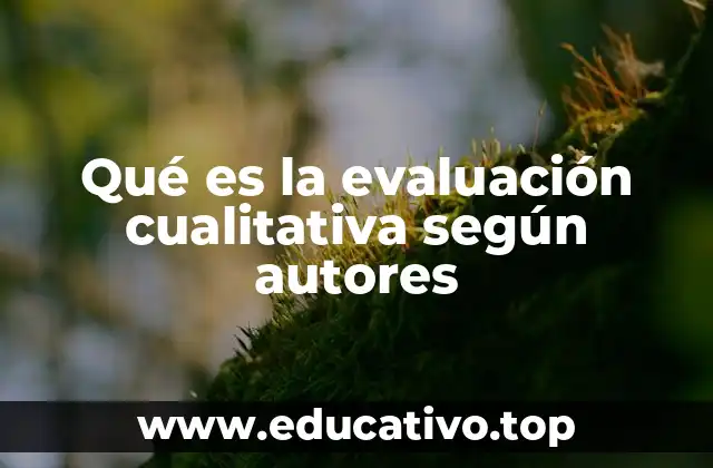 Qué es la evaluación cualitativa según autores