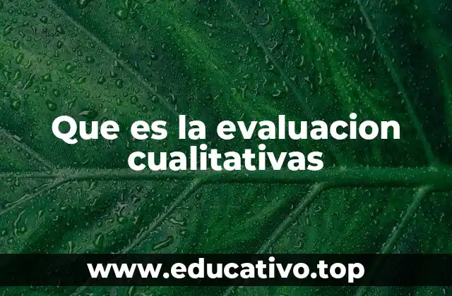 Que es la evaluacion cualitativas