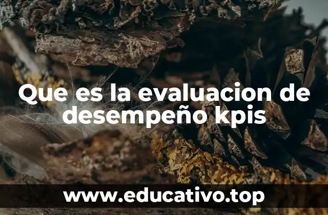 Que es la evaluacion de desempeño kpis