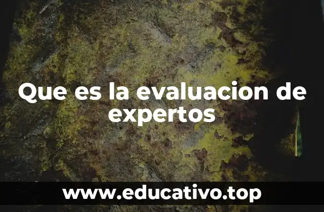 Que es la evaluacion de expertos