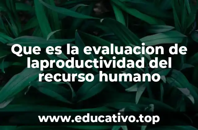 Que es la evaluacion de laproductividad del recurso humano