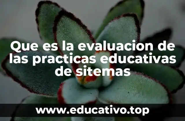 Que es la evaluacion de las practicas educativas de sitemas