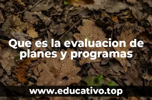 Que es la evaluacion de planes y programas