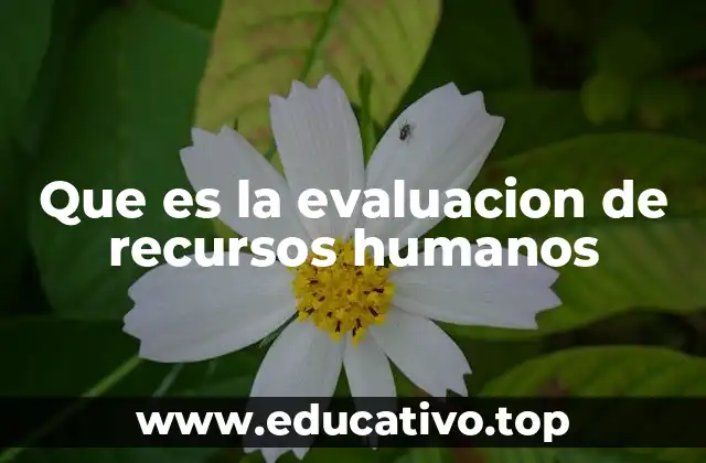 Que es la evaluacion de recursos humanos