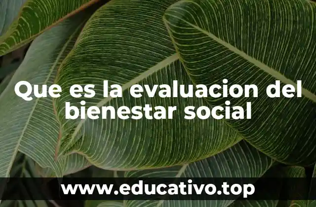Que es la evaluacion del bienestar social