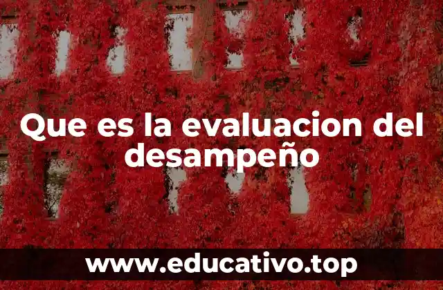 Que es la evaluacion del desampeño