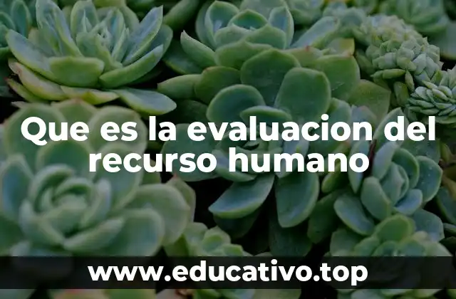 Que es la evaluacion del recurso humano