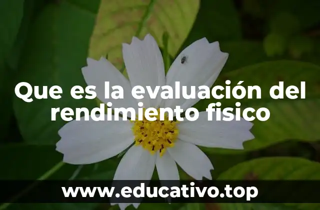 Que es la evaluación del rendimiento fisico