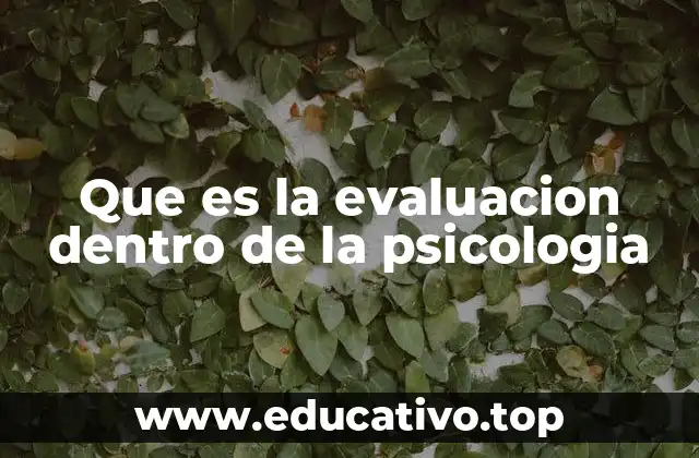 Que es la evaluacion dentro de la psicologia