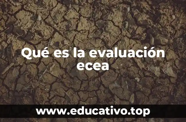 Qué es la evaluación ecea
