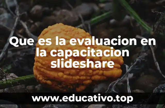 La importancia de medir el impacto del aprendizaje