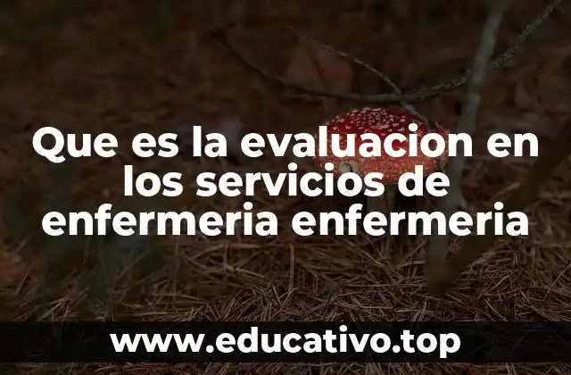 Que es la evaluacion en los servicios de enfermeria enfermeria