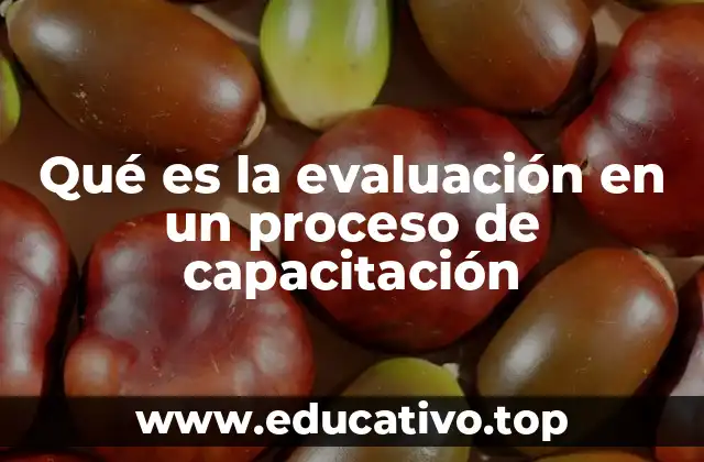 Qué es la evaluación en un proceso de capacitación