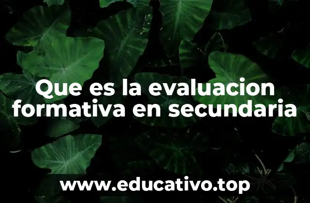 El rol de la evaluación en el proceso educativo secundario