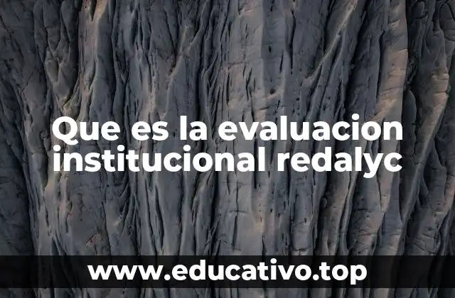 Que es la evaluacion institucional redalyc