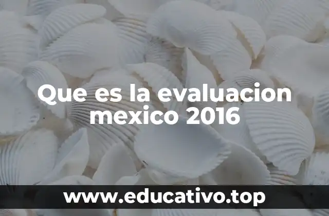 Que es la evaluacion mexico 2016