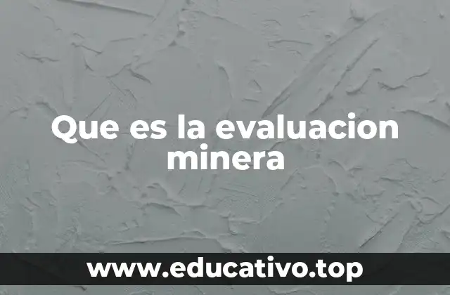 Que es la evaluacion minera