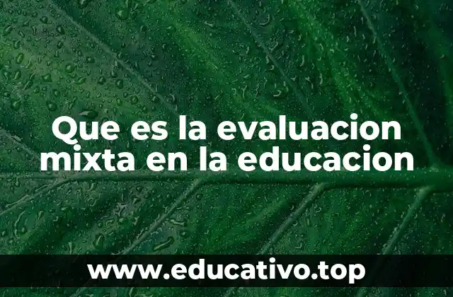Que es la evaluacion mixta en la educacion