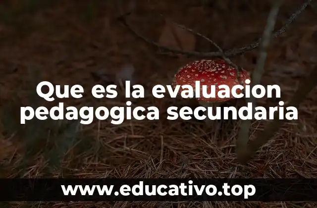Que es la evaluacion pedagogica secundaria