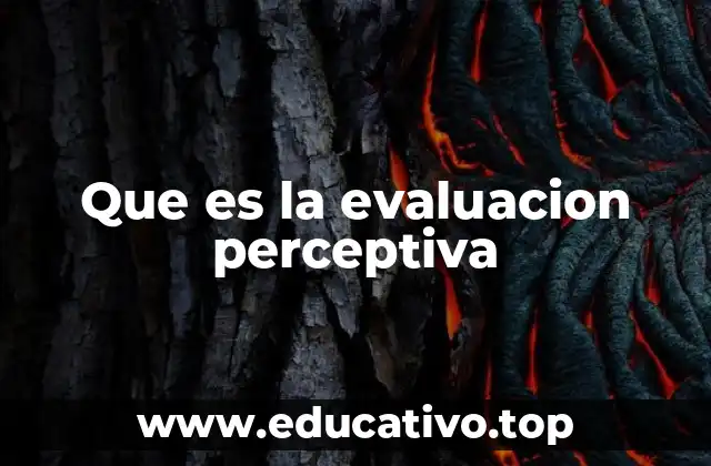 Que es la evaluacion perceptiva