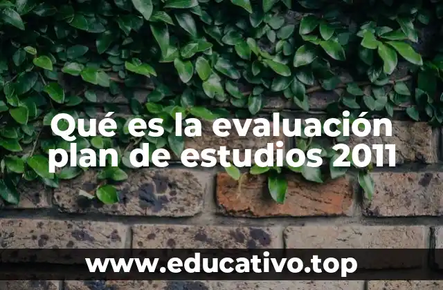 Qué es la evaluación plan de estudios 2011