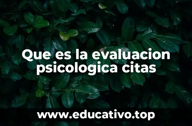Que es la evaluacion psicologica citas