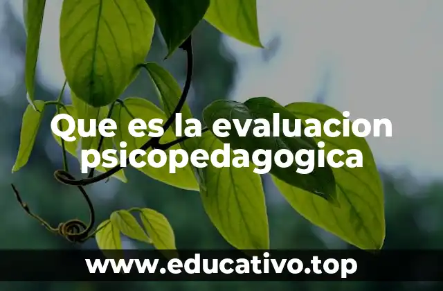 Que es la evaluacion psicopedagogica