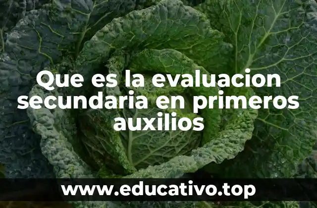 Que es la evaluacion secundaria en primeros auxilios