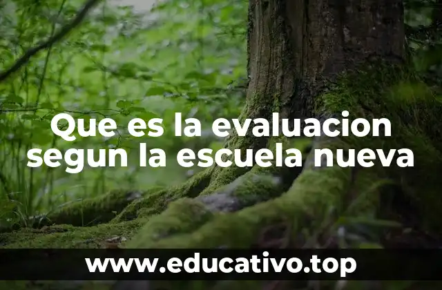Que es la evaluacion segun la escuela nueva
