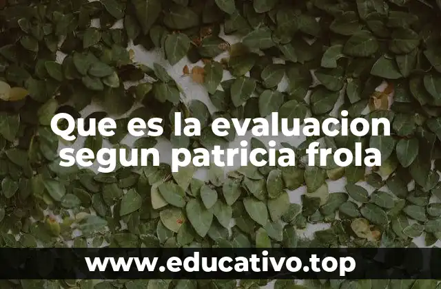 Que es la evaluacion segun patricia frola