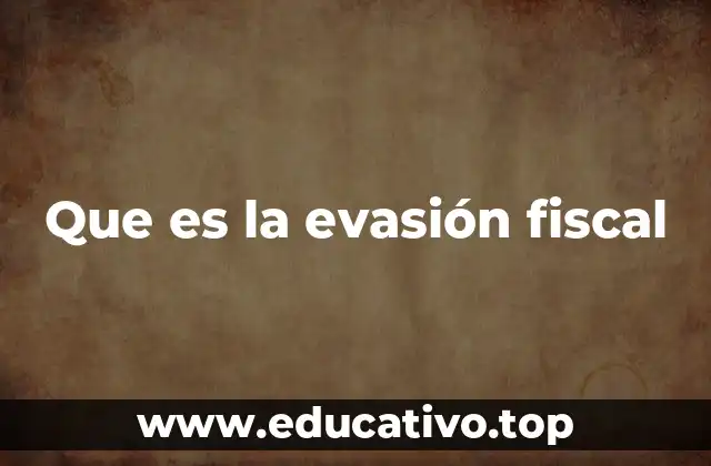 Que es la evasión fiscal