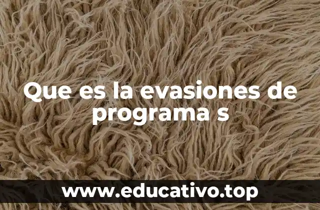 Que es la evasiones de programa s