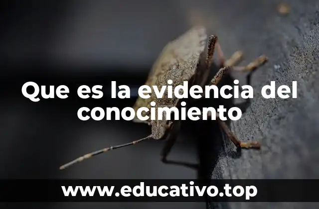 Que es la evidencia del conocimiento