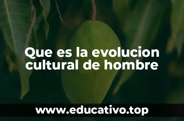 El desarrollo de la cultura humana a lo largo del tiempo