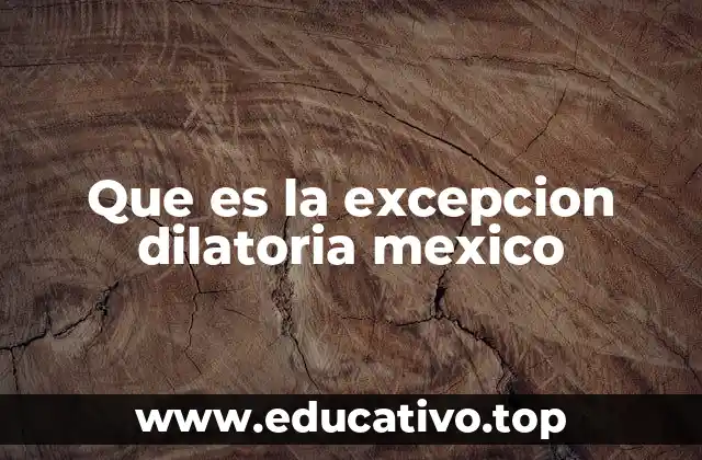 Que es la excepcion dilatoria mexico