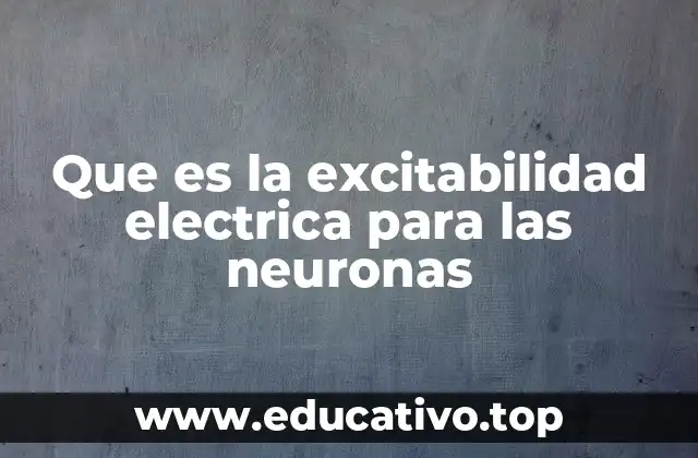 Que es la excitabilidad electrica para las neuronas
