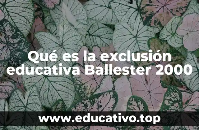 Las raíces de la exclusión en el sistema educativo